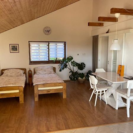 Apartman V Podhuri Jizerskych Hor Zelezny Brod Ngoại thất bức ảnh