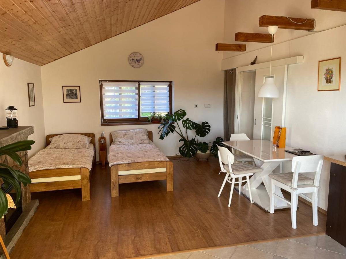 Apartman V Podhuri Jizerskych Hor Zelezny Brod Ngoại thất bức ảnh
