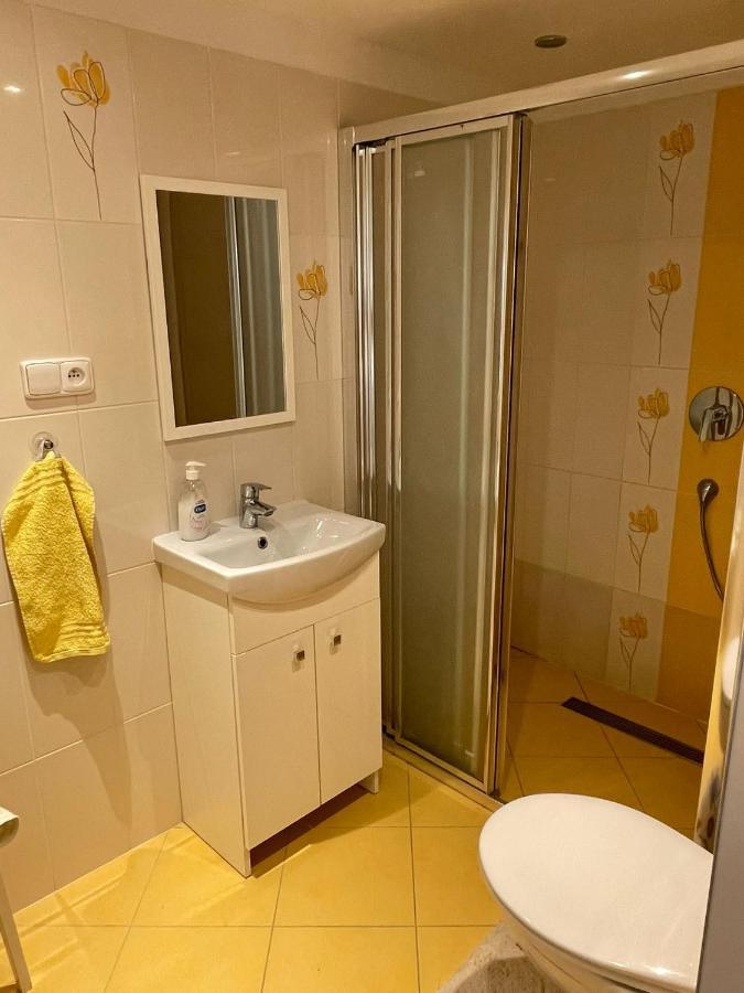 Apartman V Podhuri Jizerskych Hor Zelezny Brod Ngoại thất bức ảnh
